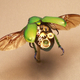 Image for article titled The Uncanny Clockwork of Fantastic Contraption